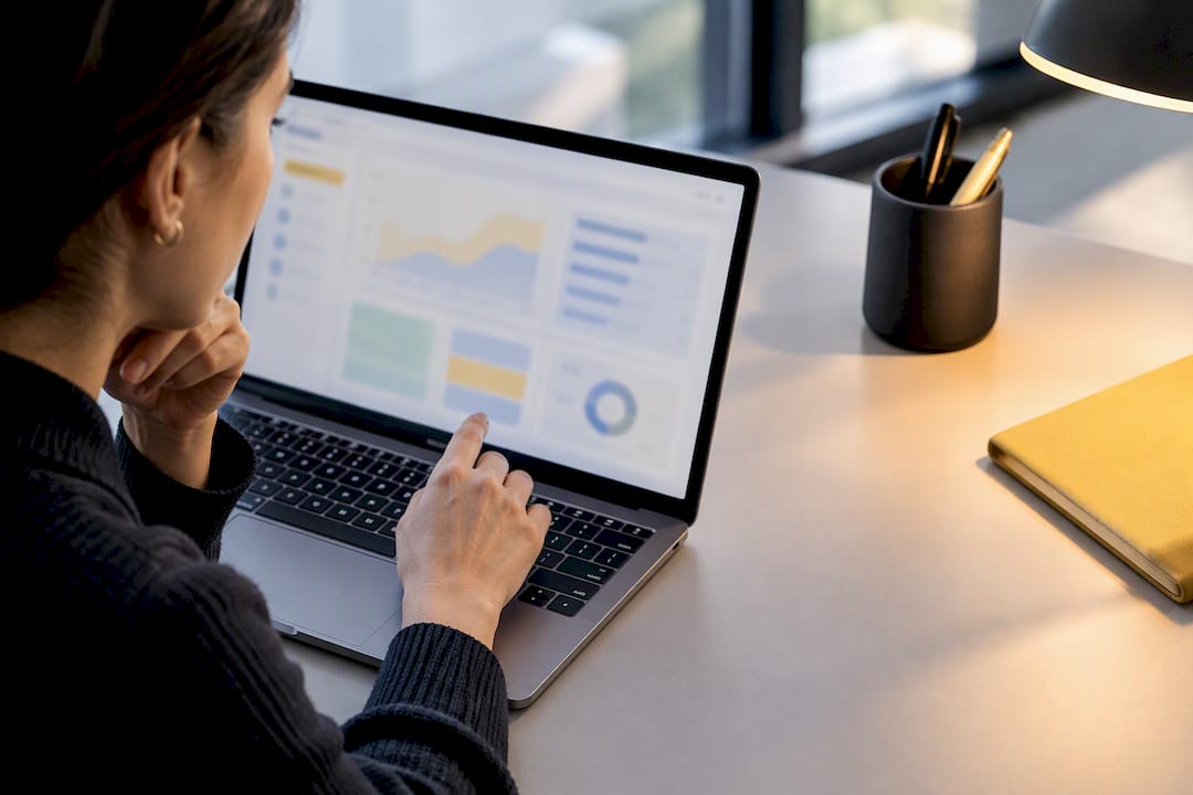 Analyst mapping customer data fields